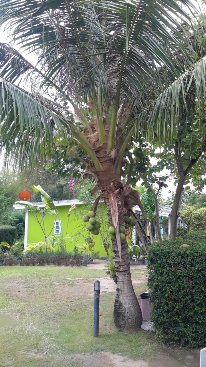 Sports Bar & Resort Pakchong Ngoại thất bức ảnh